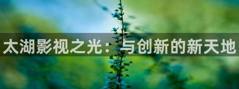 天狼影院姐姐的朋友