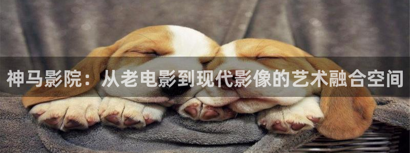 天狼影院bd