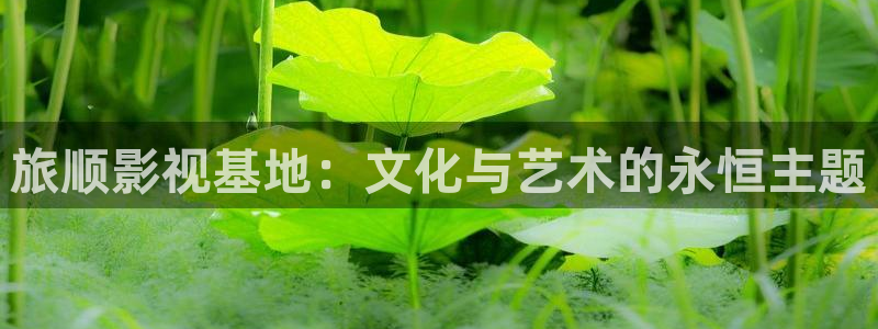 朋友的妈妈天狼影院