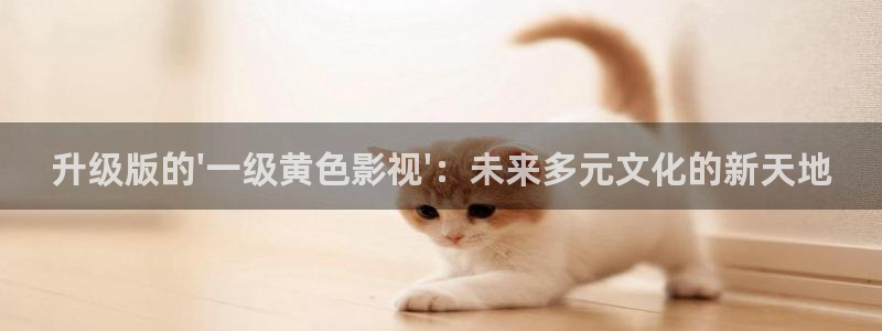 天狼影院电视剧
