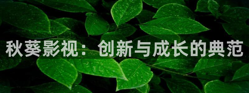 天狼电视剧西瓜影院