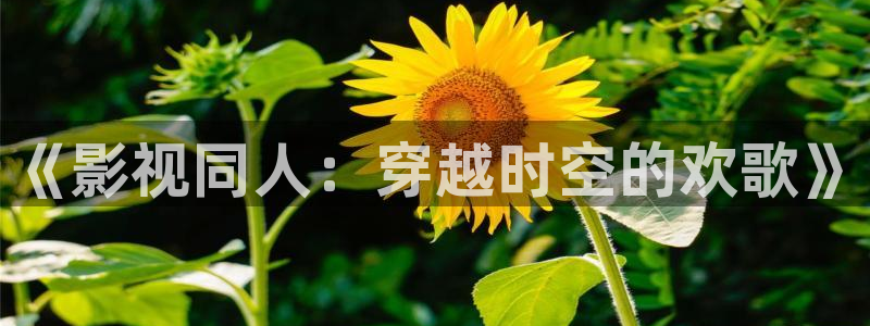 天狼影院官网