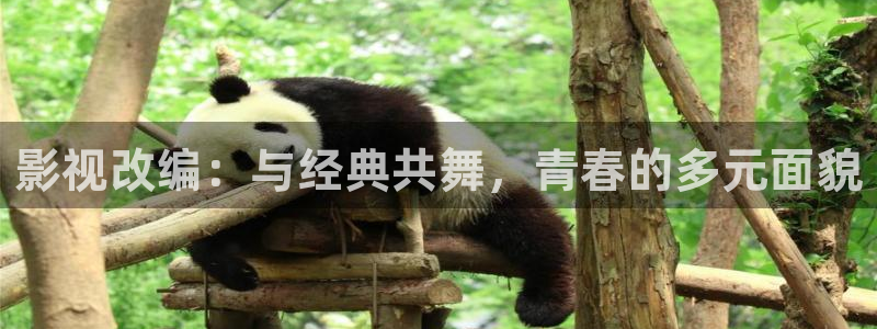 西瓜天狼影院2024电视剧在线观看网站
