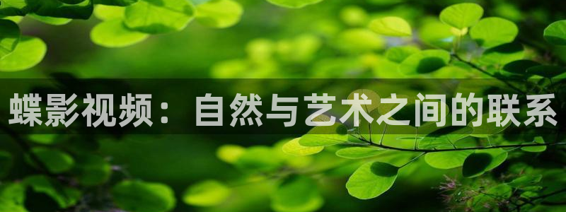 天狼影视在线免费观看
